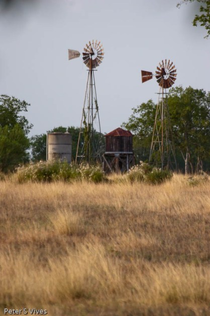 A view out my backdoor