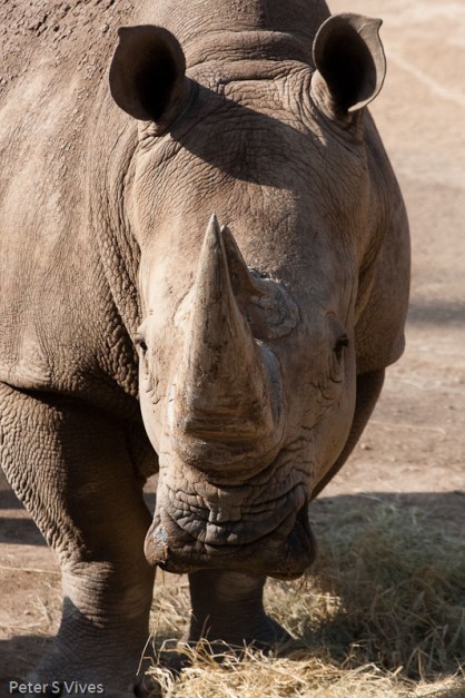 I got you in my sights fella!