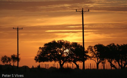 A South Texas Sunrise