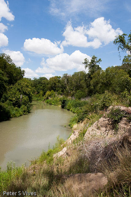 Palmetto State Park, San Marcos River