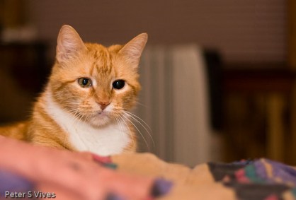 Always willing to pose, he grew up with a camera in his face.