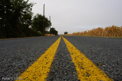 On the road with me!