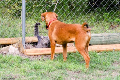 Come on we can be friends!