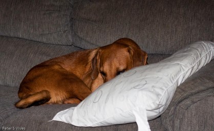 Can you ask for anything more!